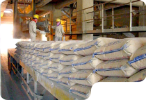 Giá Xi Măng Hôm Nay Tại Biên Hòa Đồng Nai | THU MINH NGUYỄN